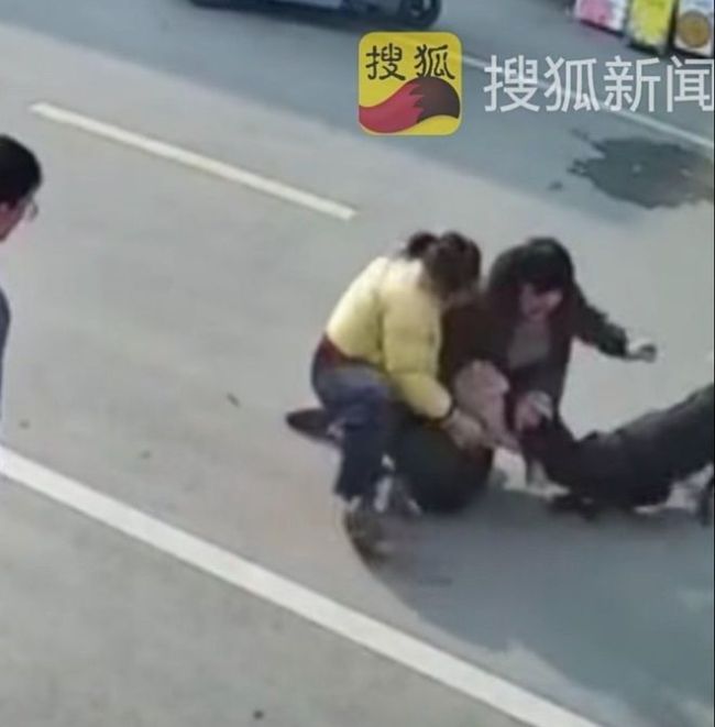 未拴绳罗威纳犬上街连咬3人被带走 恶狗伤人事件频发引关注