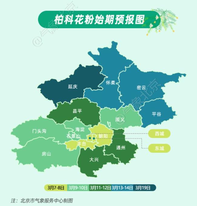 北京花粉高峰期本周末开始 时间比往年略有提前