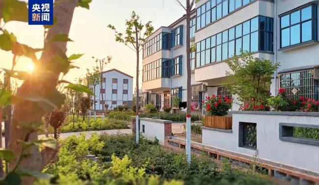 这三位河南代表为啥不叫名字叫绰号 乡土特色产业的领路人