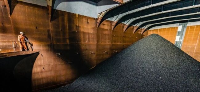 深海采矿履带过处,生物密度骤降37%!太平洋CCZ海底生物多样性五年调查结果出炉