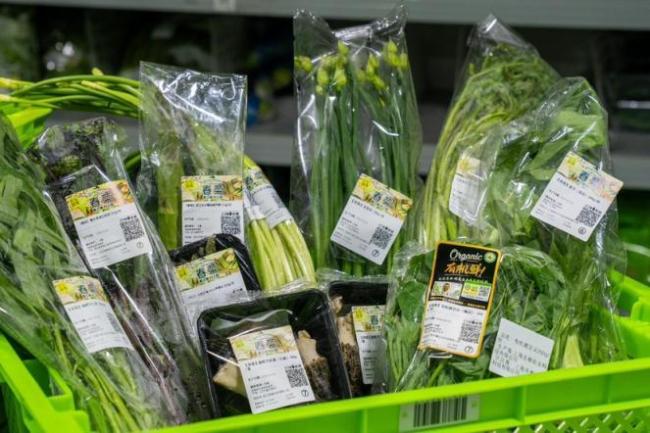 板蓝根青菜今年价格挺实在 春菜尝鲜更实惠