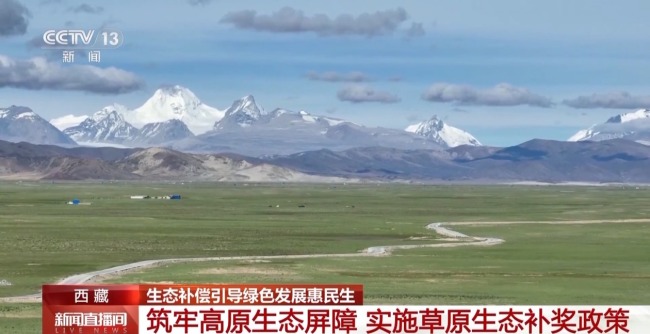 生态补偿效果如何?去西藏四川看一看