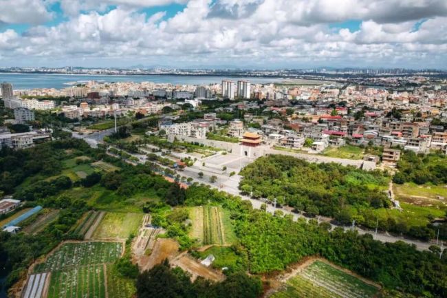 年轻人为何扎堆去福建、潮汕看“游神”？