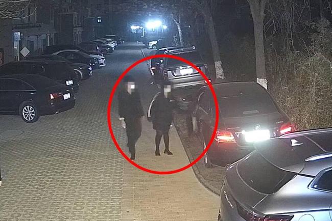 情侣深夜“拉车门”盗窃被抓 3小时快侦破案