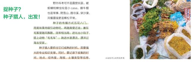 在这里,读懂两会 种子背后的科研价值