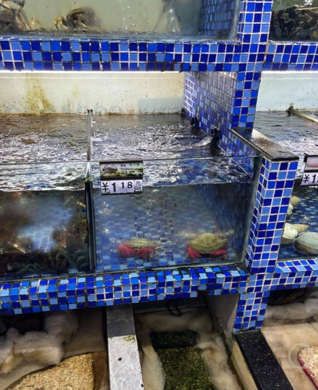 209元买梭子蟹百来块买绑绳 消费者质疑“加重绑绳”