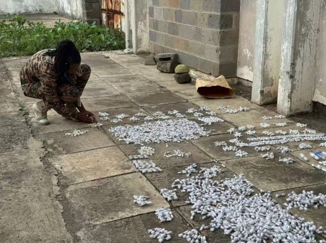 中国男子肯尼亚走私2200多只蚁后被捕 藏匿于卫生纸内