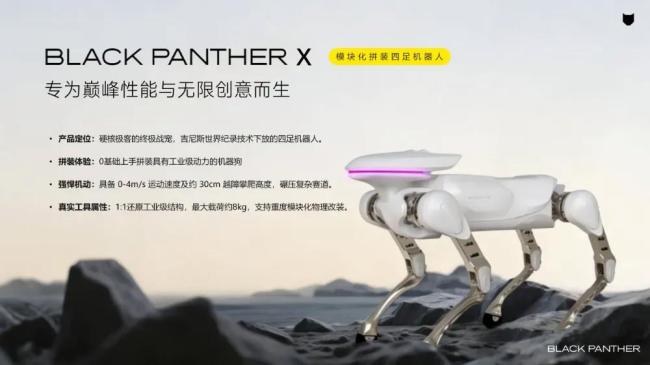 杭州男生手搓3台机器人保研国科大 全栈技术天才的崛起