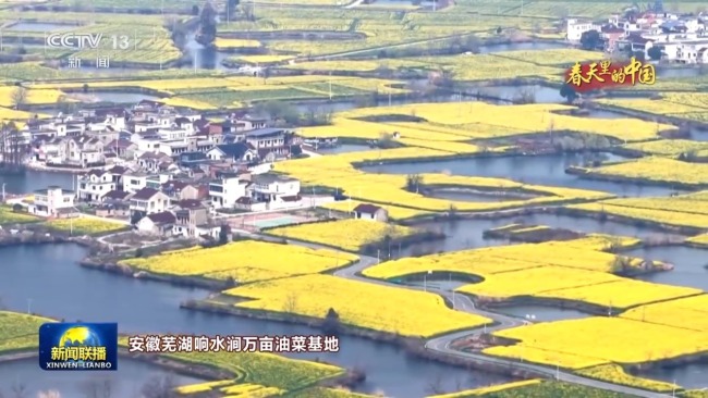 人勤春来早 农忙正当时 走进春天里的中国