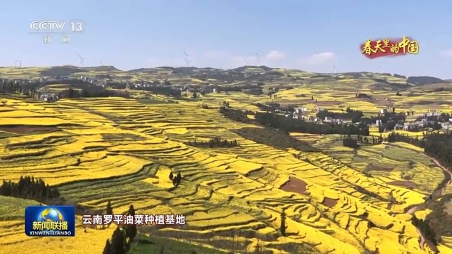 人勤春来早 农忙正当时 走进春天里的中国