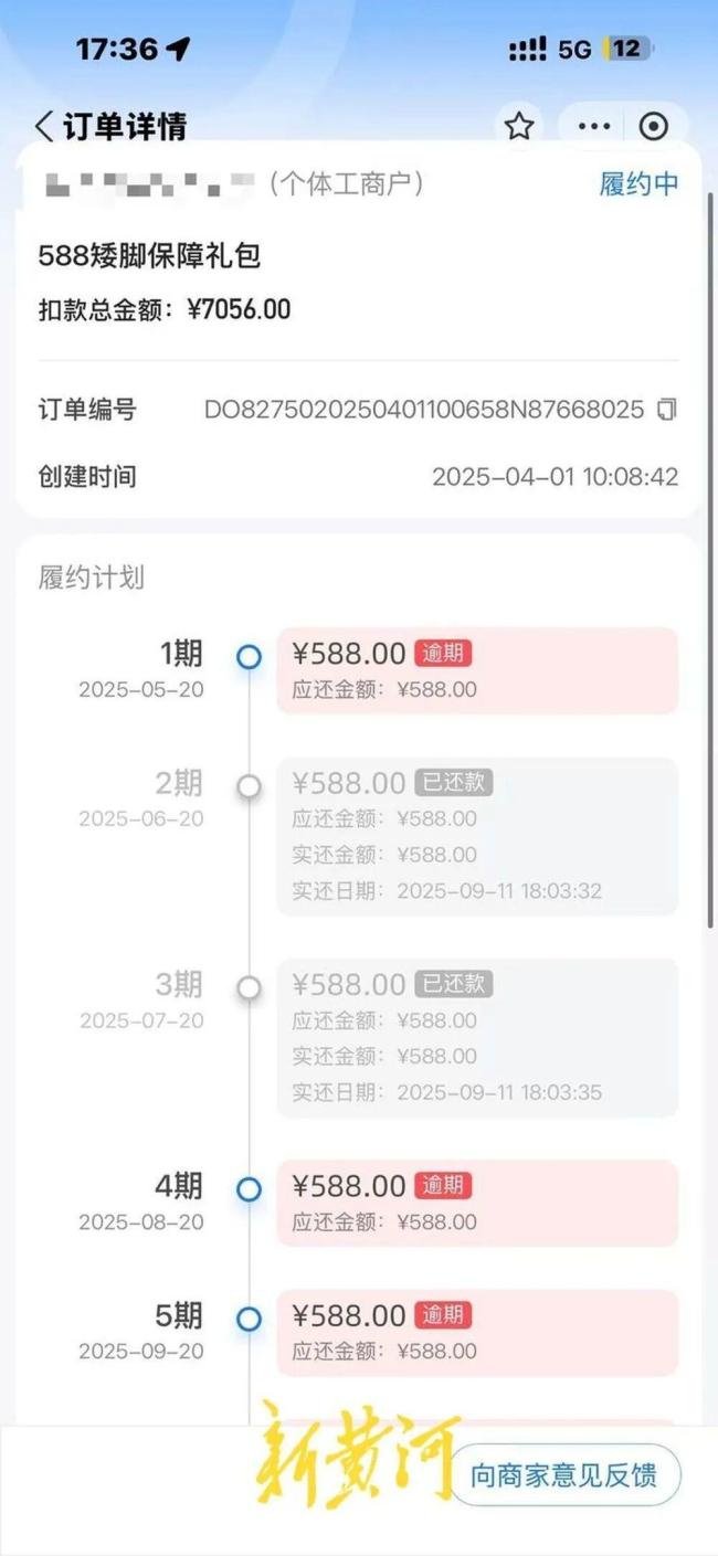 免费领养一只猫 却背上网贷 猫咪走后，债还在