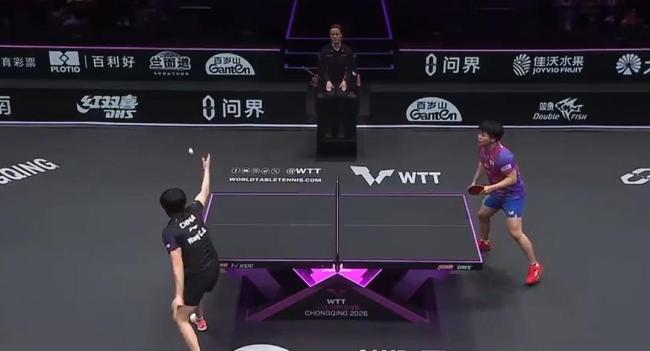 王楚钦无缘男单四强