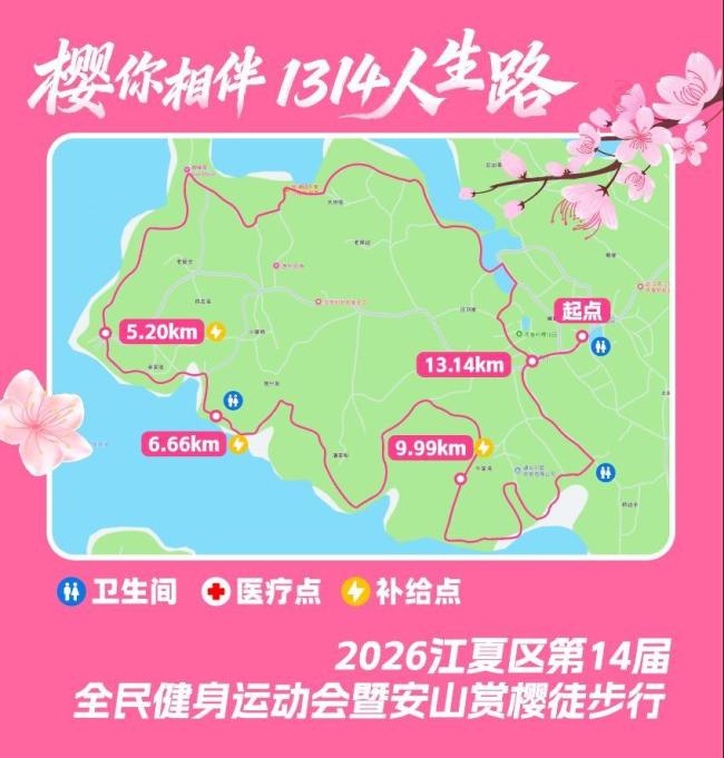 武汉“最美樱花徒步线”开放报名 浪漫春日等你来