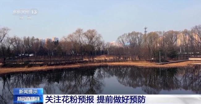 花粉过敏其实与“花”无关 风媒花才是元凶