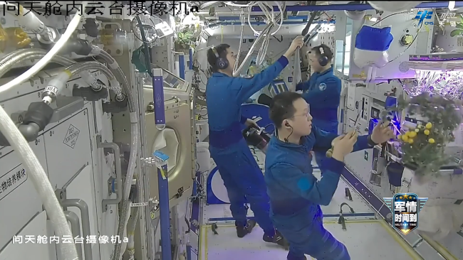 神二十一太空种菜成功 番茄喜迎丰收