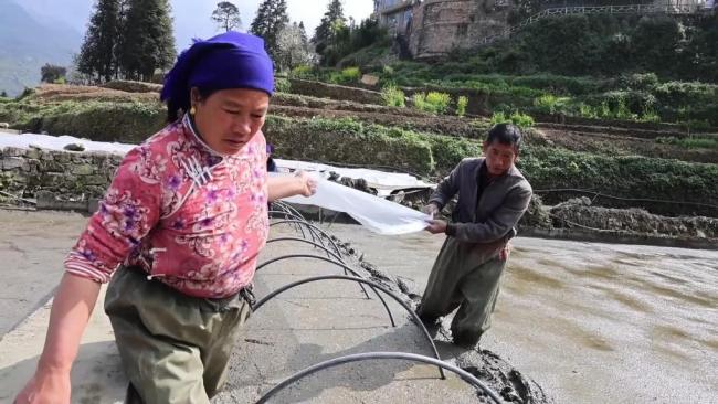 不负春光开好局 各地忙生产稳就业