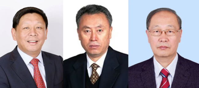 三名院士被官网除名