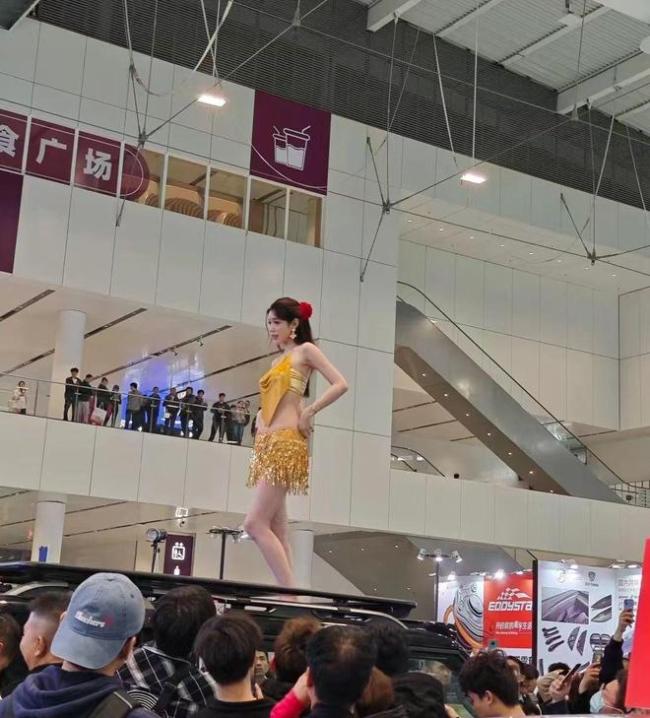 315问题车展 车企与车主的博弈现场