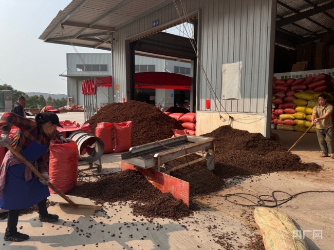 央视曝光：“超硫八角”屡禁不止 市场乱象仍存