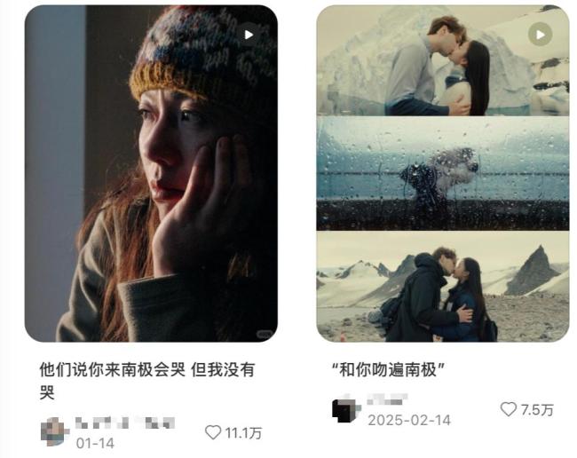 南极游从老钱限定变成中产标配 低价背后的陷阱