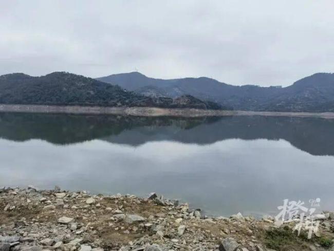 学生发现神秘古碑联系文保部门 少年获文物局表扬