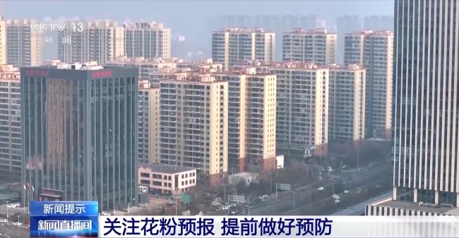 实验揭秘花粉过敏真相 树木才是“元凶”