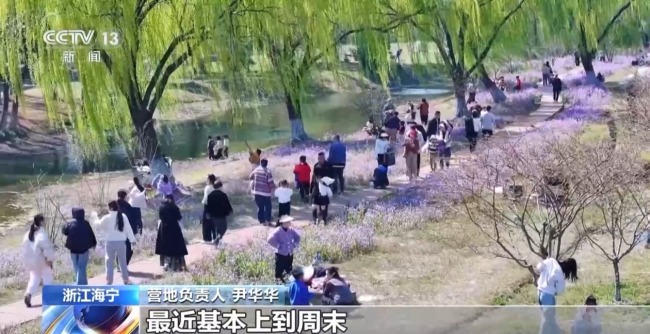 采春茶、吃春菜 各地特色活动邀你尽享春日惬意