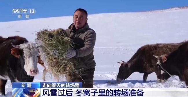 20万余头牛羊“搬家”进行中 春牧场转场启动