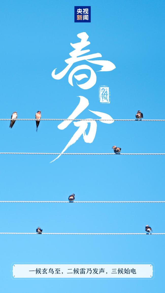 春和景明万象更新 今日迎来春分节气 满满春色生机盎然