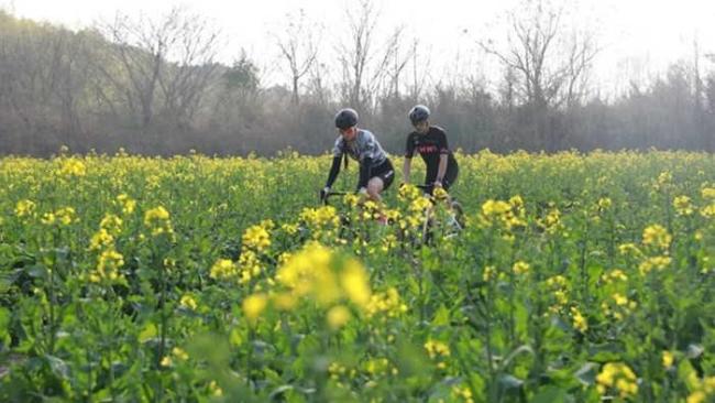 春假遇清明多地掀出游热潮