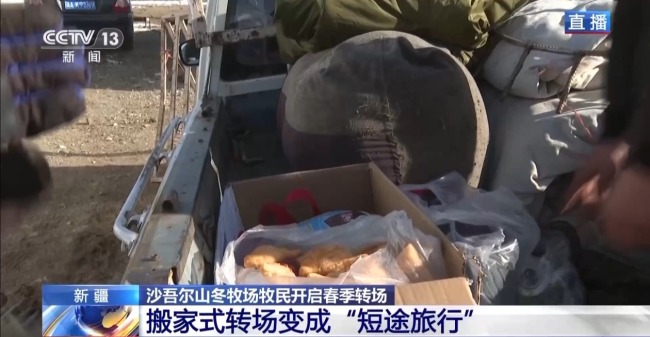 “搬家”進行中 阿勒泰春季轉(zhuǎn)場有多壯觀