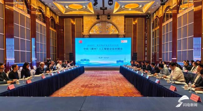 欧洲人工智能企业代表来德州