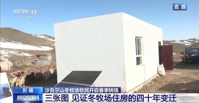 20万余头牛羊“搬家”进行中 春牧场转场启动