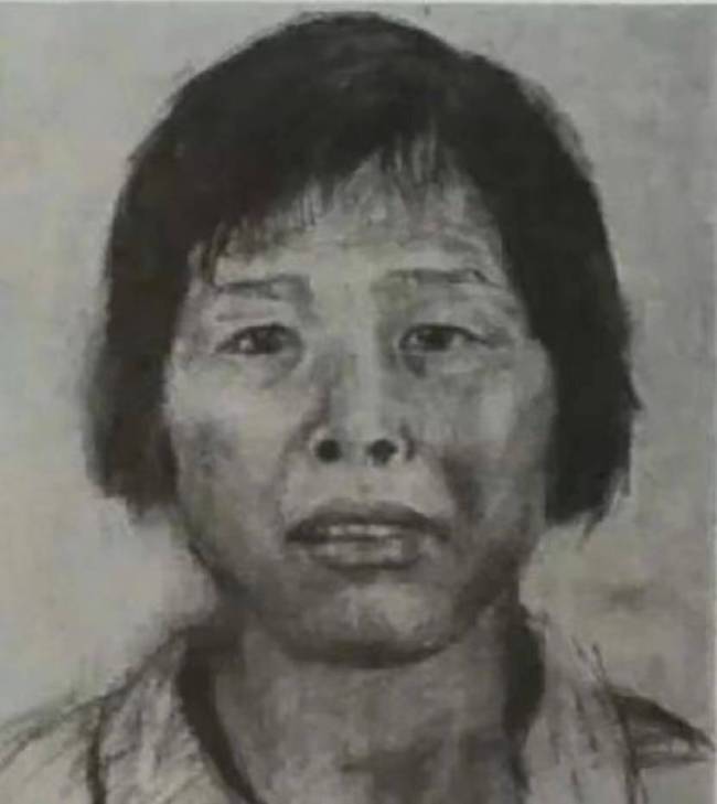 人民日报评梅姨落网：必遭严惩 正义虽迟但到