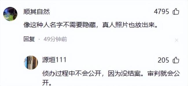 人民日报评梅姨落网：必遭严惩 正义虽迟但到