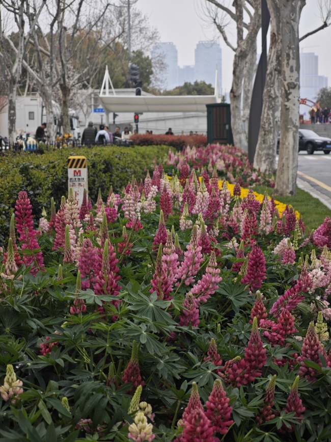 武汉欢乐谷簪花团队为汉马选手加油 春花盛宴助力奔跑