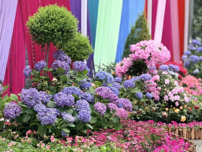 武汉欢乐谷簪花团队为汉马选手加油 春花盛宴助力奔跑