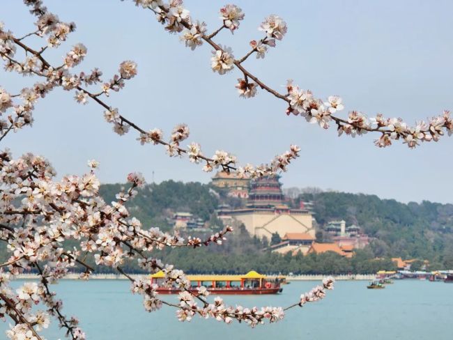 看北京|京城天气晴朗气温攀升,今日最高22℃