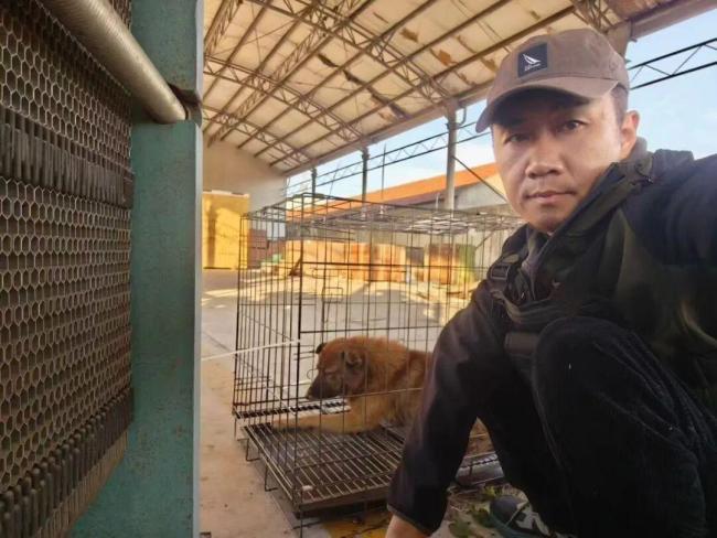 花8000元找猫 结果就在屋里 寻宠争议再起