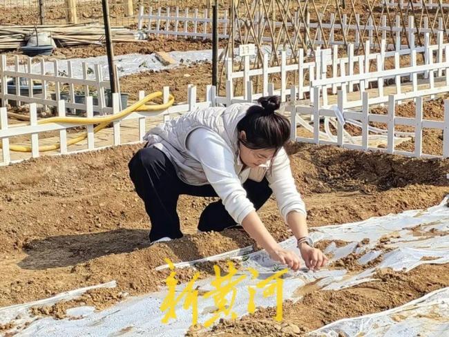 濟(jì)南這片“共享菜園”為啥這么火？記者實(shí)地探訪