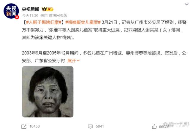 梅姨被逮捕是一个标志性法治事件 正义终将到来