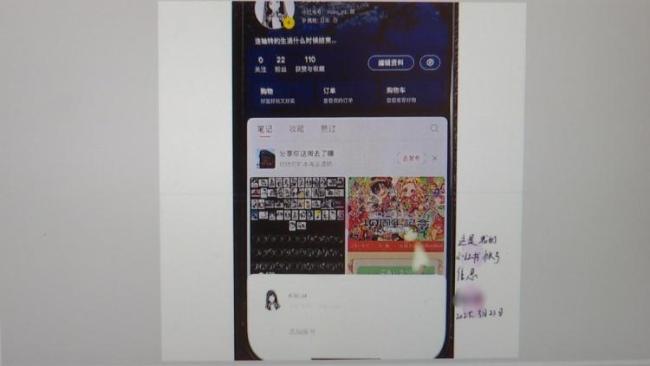 南京在校生卖周边骗96万