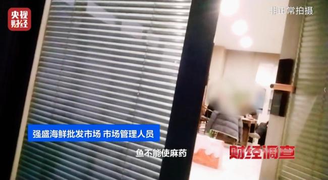 央视曝活鱼被人为麻醉乱象 三无麻药隐患重重