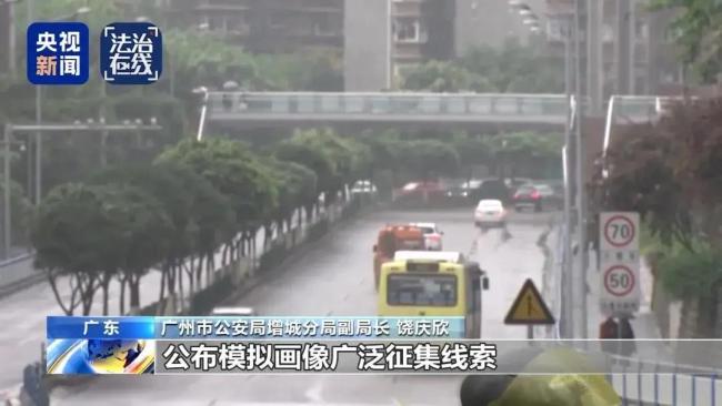 央视披露梅姨案详情 正义终得昭彰