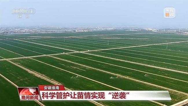 科技春耕与春日经济共绘希望田野 智慧农业引领未来