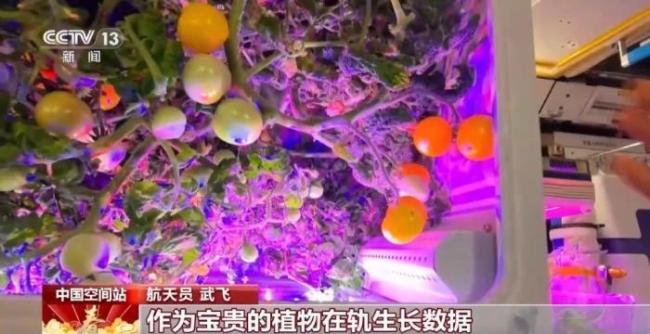 航天员为啥要在太空当“菜农” 生命保障与科研探索