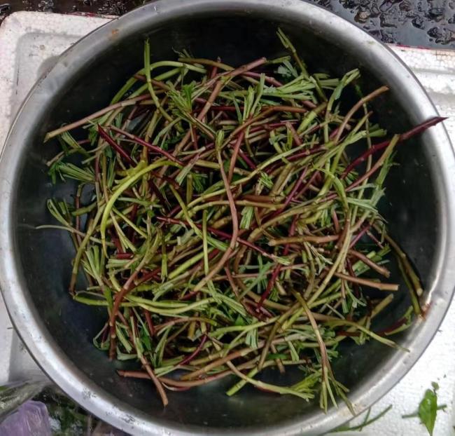 十多种春野菜塞满武汉市民菜篮子