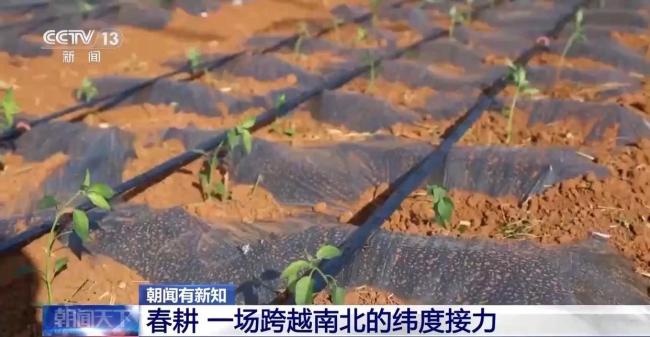 春耕是场跨越南北纬度的接力