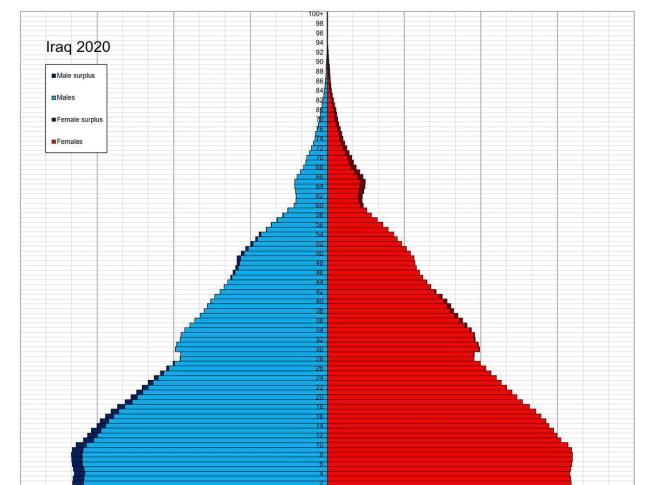 没有萨达姆的伊拉克现在到底怎么样 繁荣表象下的隐患