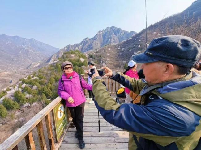 居庸关花海栈谈按期洞开 春日赏花激越再起